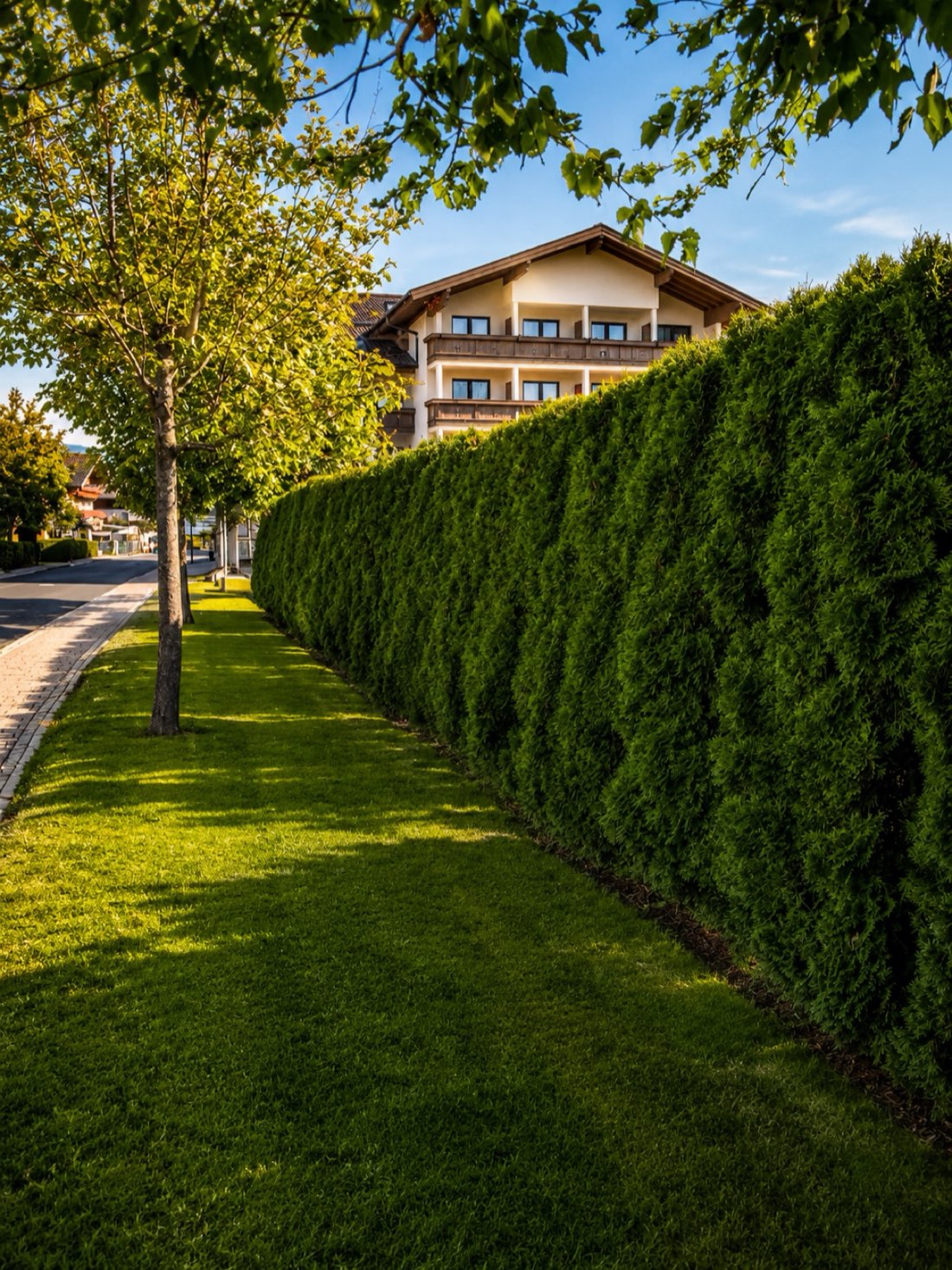 Heckenstruktur und Bepflanzung im Wohnumfeld entlang einer Straße